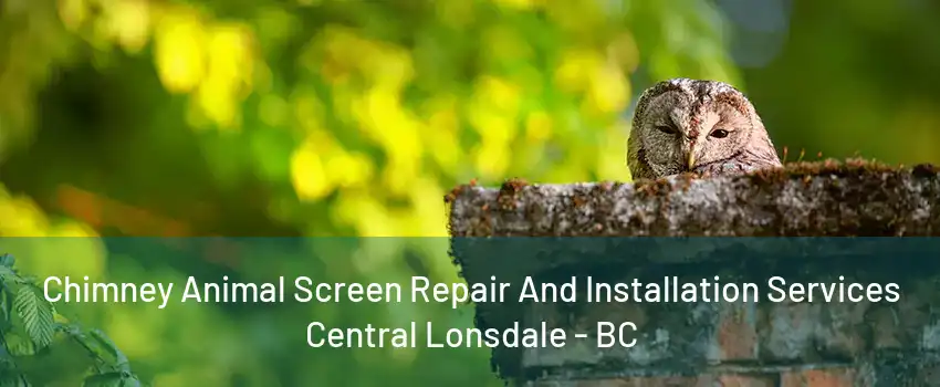 Chimney Animal Screen Repair And Installation Services Central Lonsdale - BC