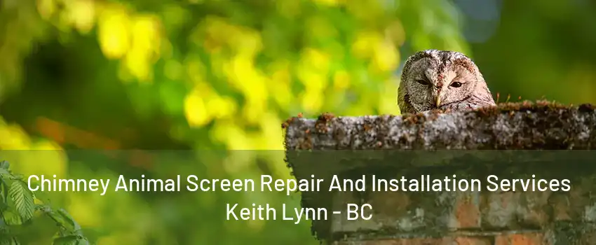 Chimney Animal Screen Repair And Installation Services Keith Lynn - BC