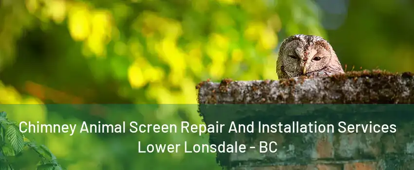 Chimney Animal Screen Repair And Installation Services Lower Lonsdale - BC