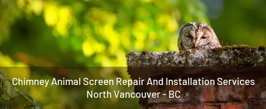 Chimney Animal Screen Repair And Installation Services North Vancouver - BC