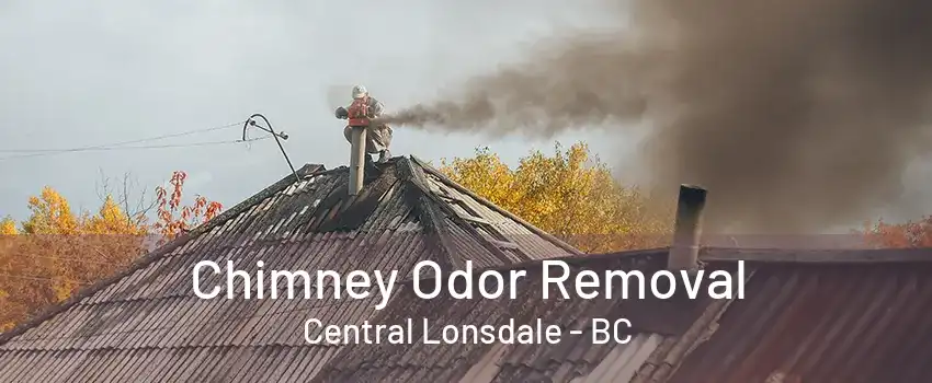 Chimney Odor Removal Central Lonsdale - BC