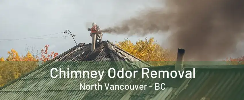 Chimney Odor Removal North Vancouver - BC