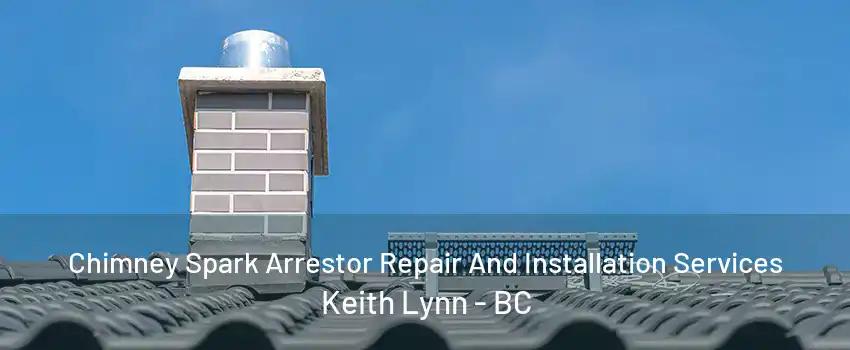 Chimney Spark Arrestor Repair And Installation Services Keith Lynn - BC