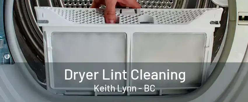 Dryer Lint Cleaning Keith Lynn - BC