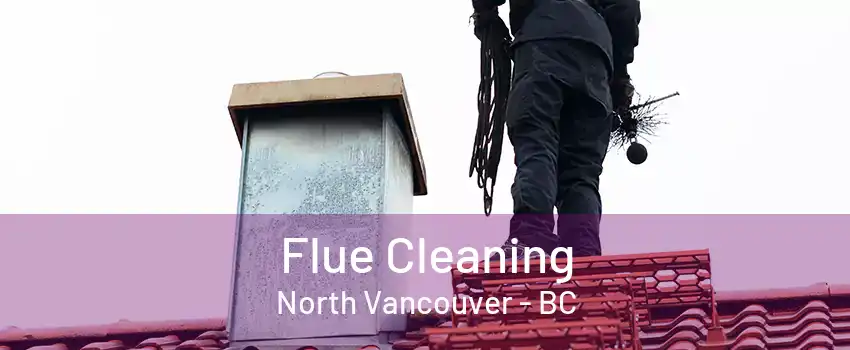 Flue Cleaning North Vancouver - BC