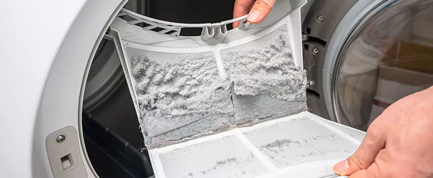 Best Dryer Lint Removal Company in Central Lonsdale, British Columbia