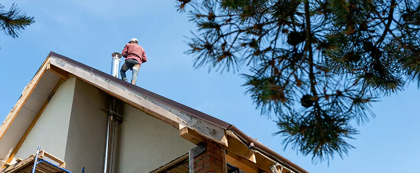 Birds Removal Contractors from Chimney in Keith Lynn, BC