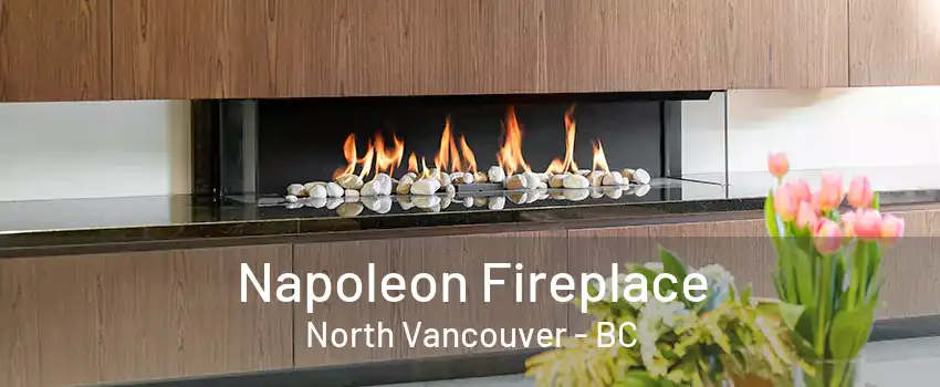 Napoleon Fireplace North Vancouver - BC